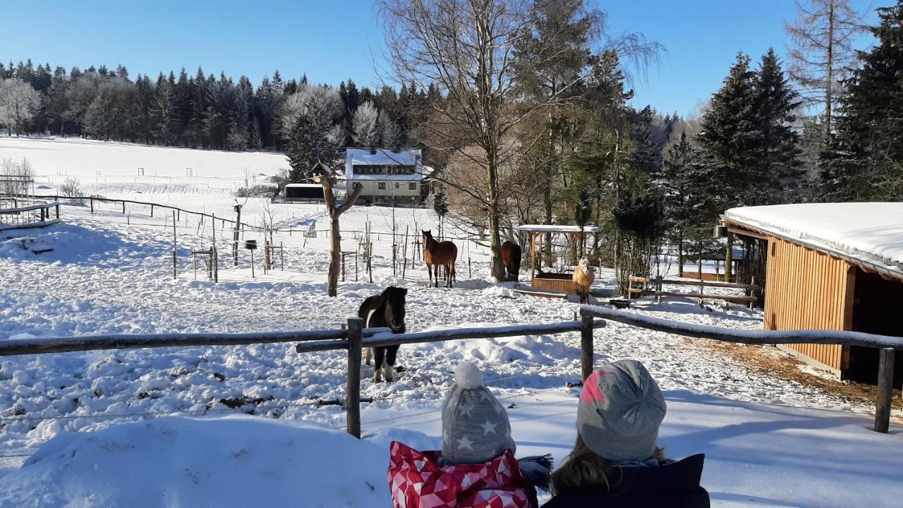 "Sporthuetten Nassau" Ihr Zentrales Domizil An Der Blockline Rechenberg-Bienenmühle Extérieur photo